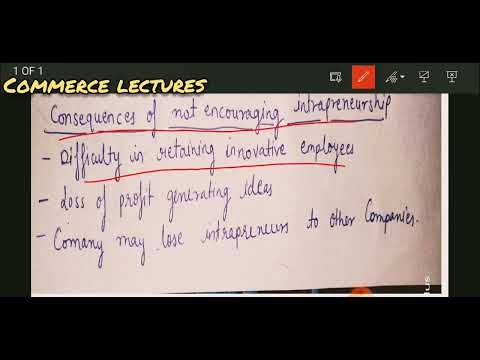 types of entrepreneurs and intrapreneurship innovative imitative fabian drone entrepreneurs