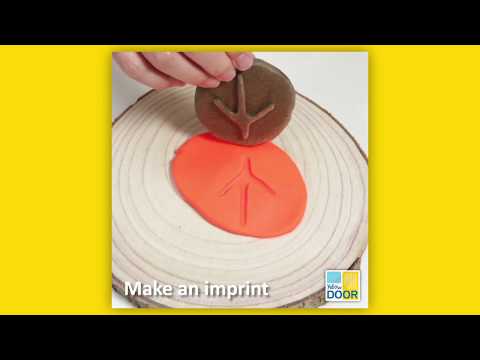 Slide 8 - Let's Investigate, Farmyard Footprints, Set of 8 (video)