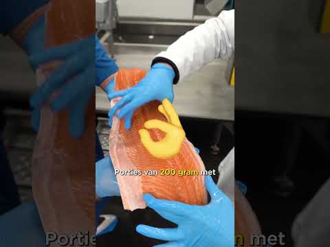 Product video