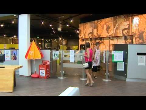 Rijnmond Nieuws - 21 augustus 2012