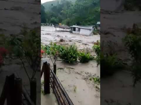 Baloy River floods Parroquia Pedernales: farmer rescues animals amid rising waters