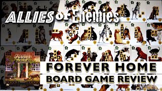 Allies or Enemies - Forever Home video thumbnail
