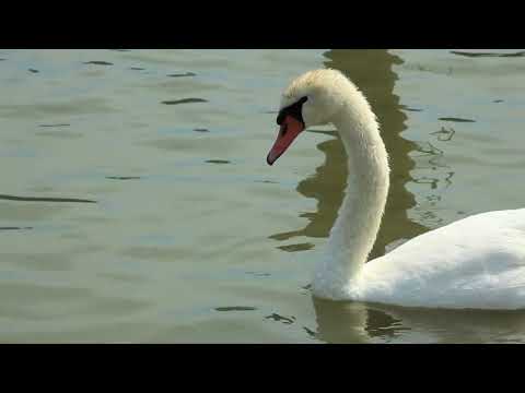 Eraclea Terra e Mare - Liilla Way