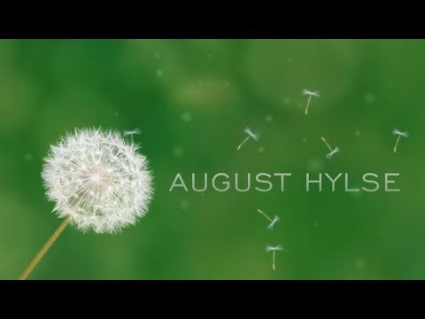 TRAILER - August Hylse @ YouTube 2018