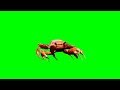 Green Screen Crab Rave Dancing Crab