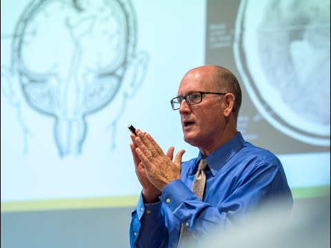 The Cerebellum: Beyond Motor Control