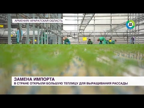 Спайка I Kрупнейший рассадный комплекс в Армении
