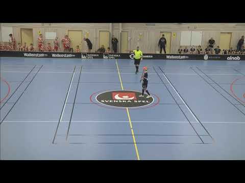 P06 Växjö Vipers vit-Pixbo wallestam ibf