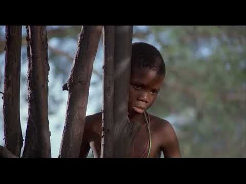 The Air Up There 6/15