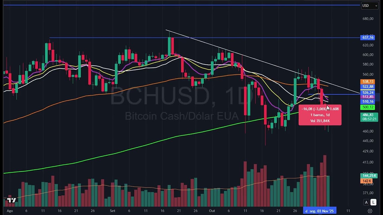 Palinha do Palex - Análise completa Cripto - manhã do dia 5 novembro