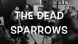 The Dead Sparrows - Fuck the Turtles (Lyric Video)