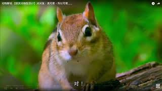 [閒聊] 以前遊戲設計是為了賣攻略本吧?