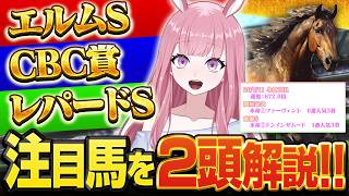 【エルムS・CBC賞・レパードS】週末重賞チェック！血統xデータからの注目馬も解説【競馬予想Vtuber/美咲百花】
