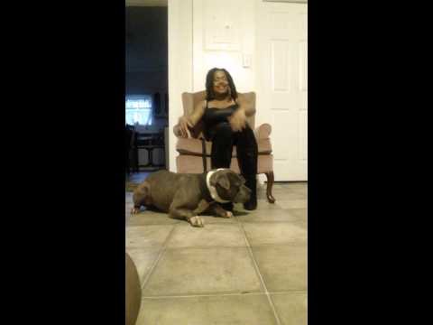 One shot rap submission