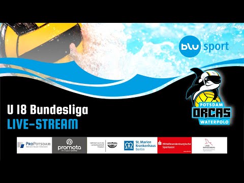 🏐 U18 Bundesliga Wasserball | Potsdam Orcas vs. Duisburger SV 98 | Live aus Potsdam