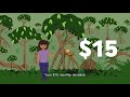 Rainforest Trust 