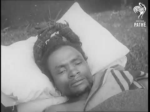 Mau Mau Chief Dedan Kimathi Captured 1956