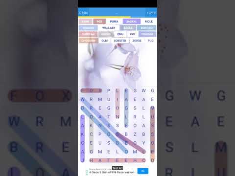 Word Chase
