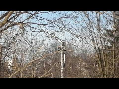 TREN BOTOSANI - SUCEAVA NORD  ORA 15:50