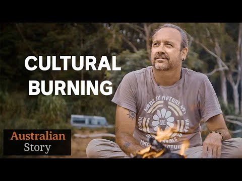 How Indigenous fire management practices could protect bushland | Australian Story