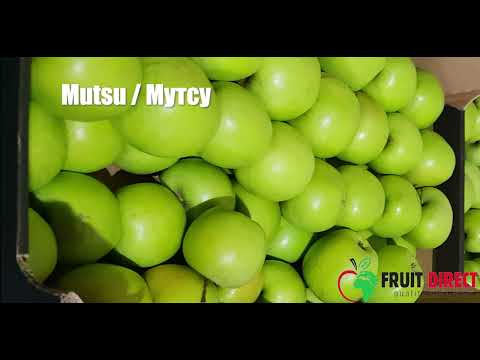 Продам яблоко сорта Мутсу