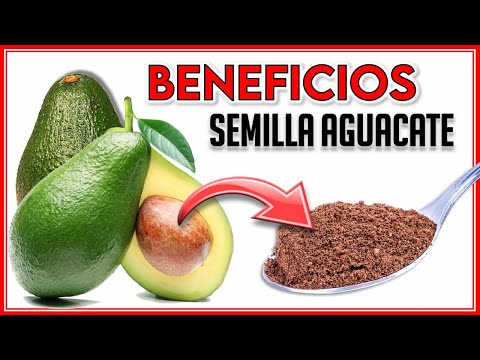 5 Benefits of the Avocado Seed 🥑 || The Avocado Pit is Pure Gold for your Health!