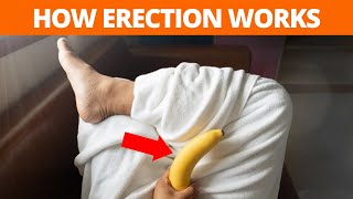 SECRETS and Science of GOOD ERECTION | ERECTILE DYSFUNCTION - Causes, Cure, Home remedies, and MORE!