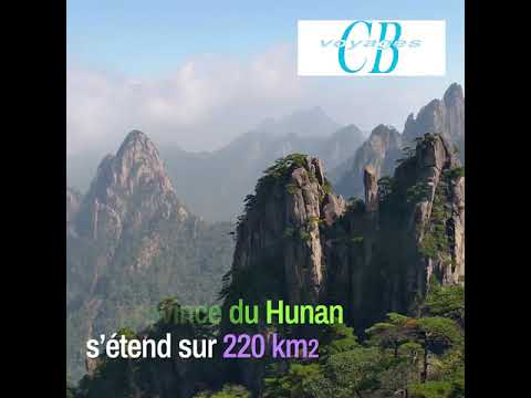 Voyage de groupe en Chine