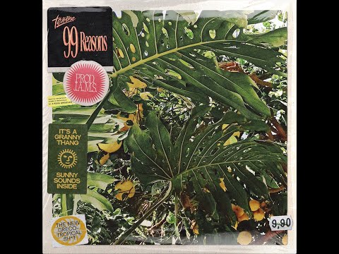 Terrõne - 99 Reasons (Prod J.A.M.S.)