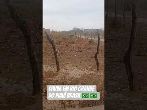 chuva em Rio Grande do Piauí Brasil 🇧🇷 🇧🇷