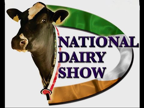 Ireland's 2022  National Dairy Show. Junior 3 yr old - Laurelmore Silred Sally.Judge David Jones.