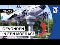 Echt Dakota-vliegtuig ’geland’ in Madurodam