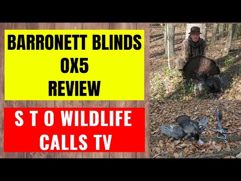 Barronett Blinds Ox 5 Review