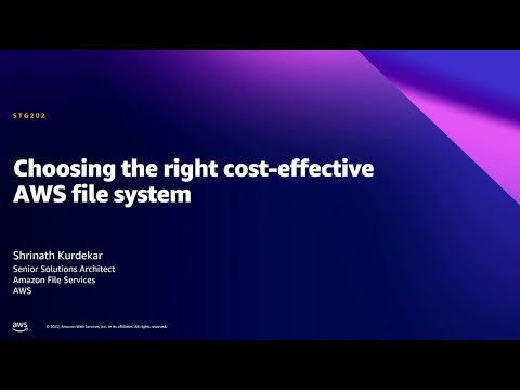 AWS Summit DC 2022 - Choosing the right cost-effective AWS file system