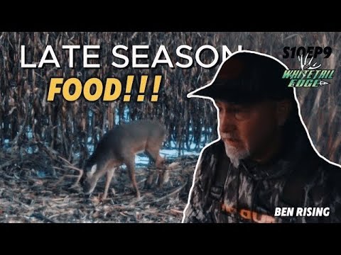 Season 10 Episode 9