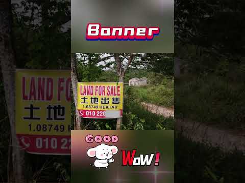 Banner and Bunting