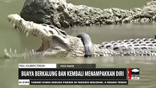 Download lagu Buaya Berkalung Ban Kembali Menampakkan Diri | REDAKSI PAGI (04/12/20) mp3