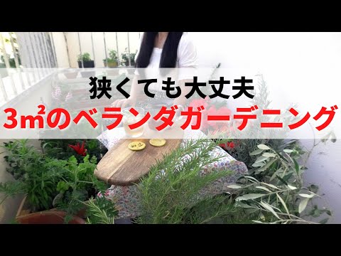 屋根付きのテラスまたはバルコニーのバスケット用に吊り下げられた多年生の顕花植物 5 つ  庭園
