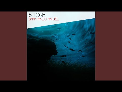 Save You (B-Tone RMX)