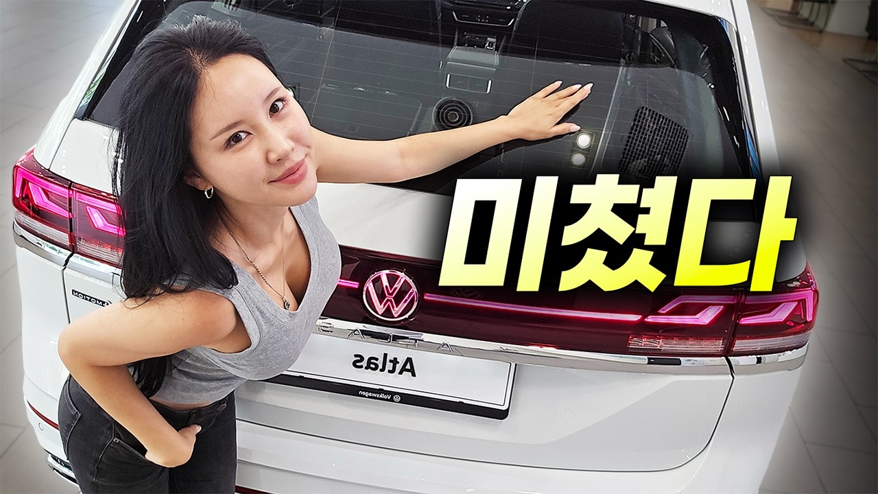 야생마TV