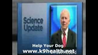 DOG PROTANDIM