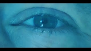 Richard Dawson – More than real