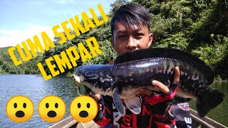 preview picture of video 'Casting TOMAN BABON 5 KG | Giant Snakehead | Fish Hunting'