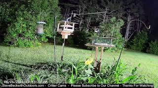 Bird Feeder Close Up CAM live webcam