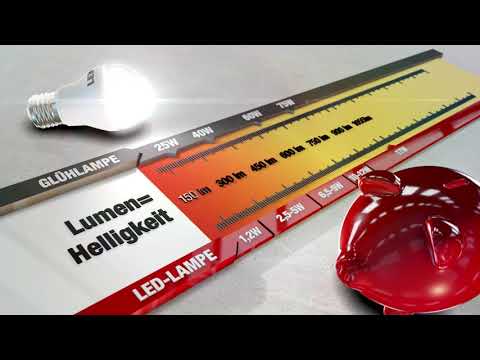 Was bedeuten Lumen, Watt & LED? Gelbliches oder weißes Licht?