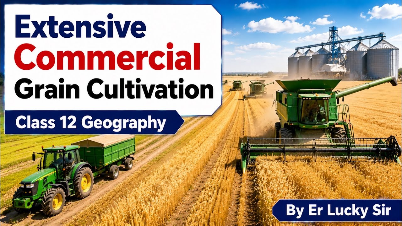 Extensive Commercial Grain Cultivation - Class 12 Geography