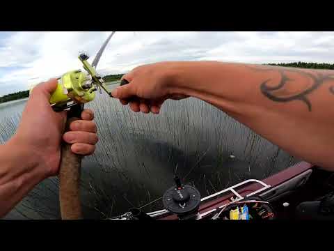 HAUEN HEITTOKALASTUSTA