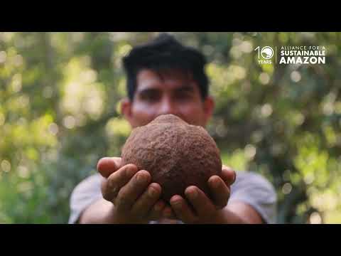 Alliance for a Sustainable Amazon — video 2