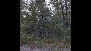 Game Winner 10ft Tripod Stand Setup