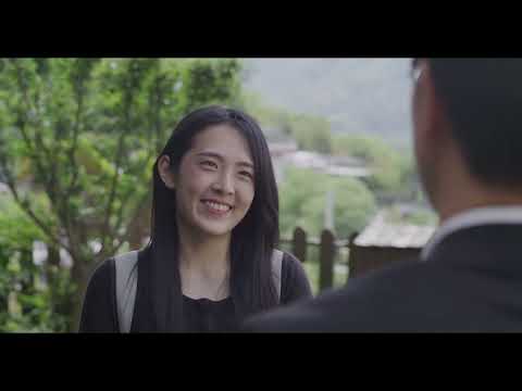 비디오 6